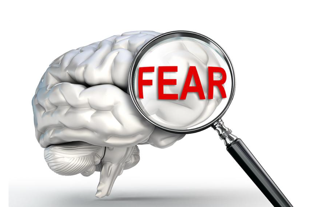 ⚠️🧠🔒⚠️ Peter's Denial of Christ: The Rebellion Inherent in Fear