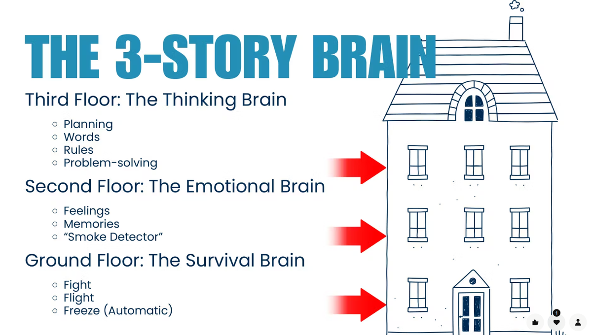 (B) 🏠🧠❤️⚡🚨🛡🕊 The House Inside Your Head: The Three-Story Brain